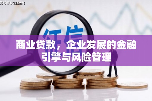 阿里商业贷款，企业发展的金融引擎与风险管理