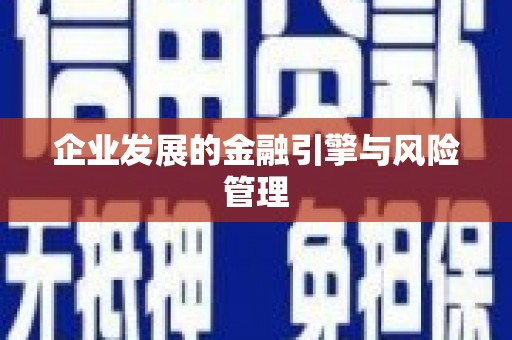 阿里企业发展的金融引擎与风险管理