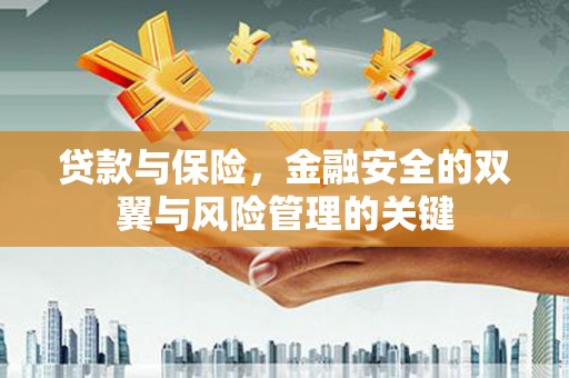 阿里贷款与保险，金融安全的双翼与风险管理的关键