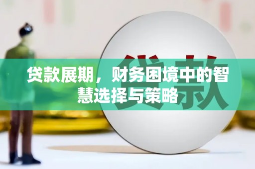 阿里贷款展期，财务困境中的智慧选择与策略