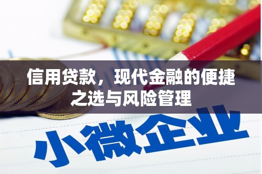 阿里信用贷款，现代金融的便捷之选与风险管理