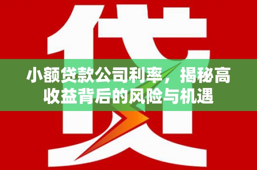 阿里小额贷款公司利率，揭秘高收益背后的风险与机遇