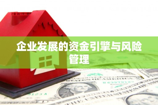 阿里企业发展的资金引擎与风险管理