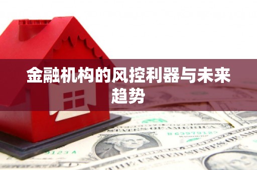 阿里金融机构的风控利器与未来趋势