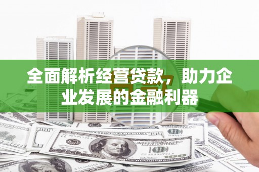 阿里全面解析经营贷款，助力企业发展的金融利器