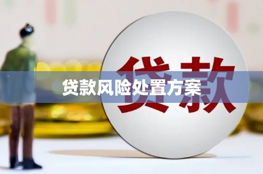 阿里贷款风险处置方案