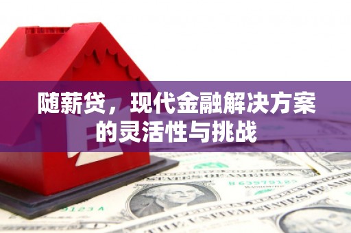 阿里随薪贷，现代金融解决方案的灵活性与挑战