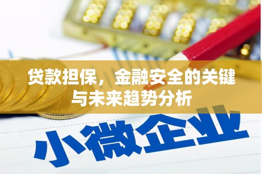 阿里贷款担保，金融安全的关键与未来趋势分析