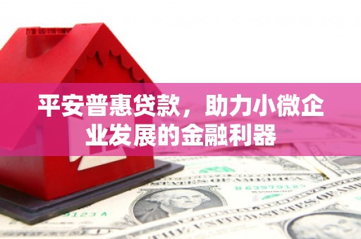 阿里平安普惠贷款，助力小微企业发展的金融利器