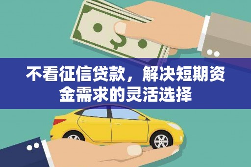 阿里不看征信贷款，解决短期资金需求的灵活选择