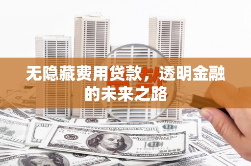 阿里无隐藏费用贷款，透明金融的未来之路