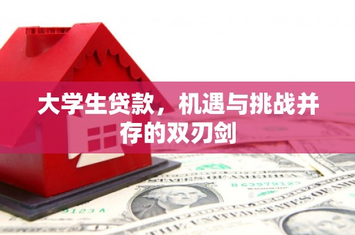 阿里大学生贷款，机遇与挑战并存的双刃剑