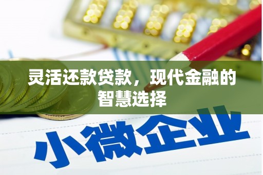阿里灵活还款贷款，现代金融的智慧选择