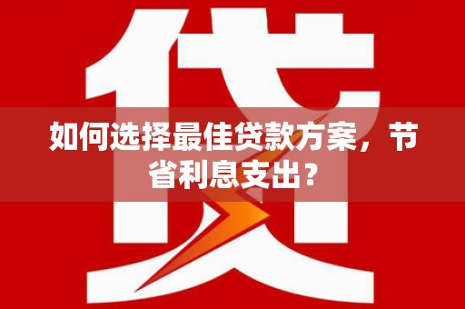 阿里如何选择最佳贷款方案，节省利息支出？