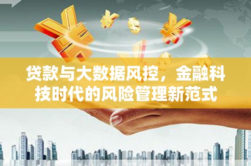 阿里贷款与大数据风控，金融科技时代的风险管理新范式