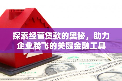 阿里探索经营贷款的奥秘，助力企业腾飞的关键金融工具