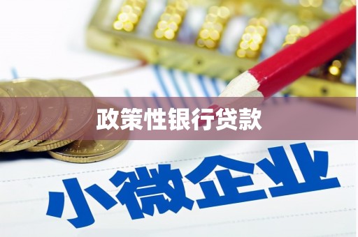阿里政策性银行贷款