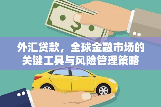 阿里外汇贷款，全球金融市场的关键工具与风险管理策略