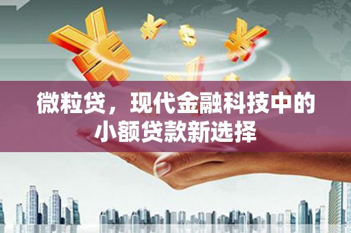 阿里微粒贷，现代金融科技中的小额贷款新选择