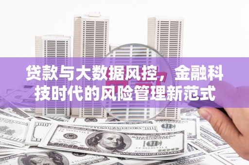阿里贷款与大数据风控，金融科技时代的风险管理新范式
