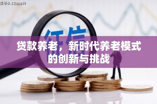 阿里贷款养老，新时代养老模式的创新与挑战