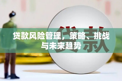 阿里贷款风险管理，策略、挑战与未来趋势