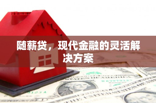 阿里随薪贷，现代金融的灵活解决方案