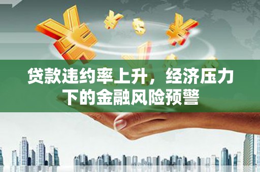 阿里贷款违约率上升，经济压力下的金融风险预警