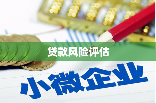 阿里贷款风险评估