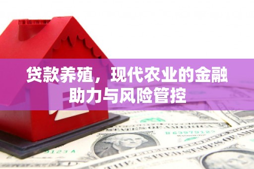 阿里贷款养殖，现代农业的金融助力与风险管控