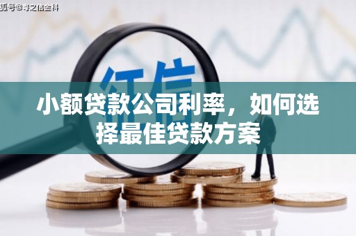 阿里小额贷款公司利率，如何选择最佳贷款方案