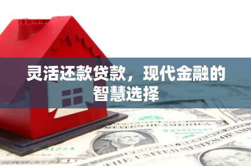 阿里灵活还款贷款，现代金融的智慧选择