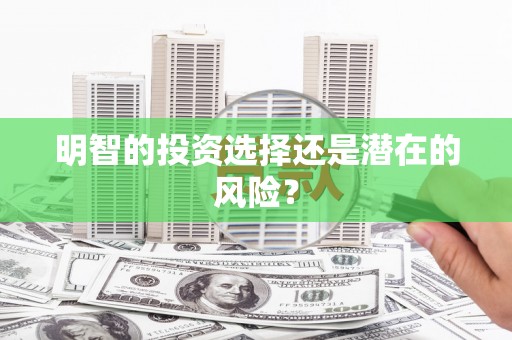 阿里明智的投资选择还是潜在的风险？