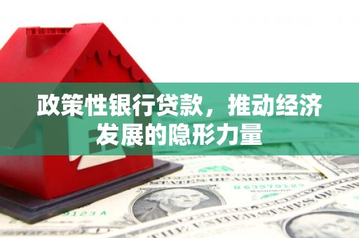 阿里政策性银行贷款，推动经济发展的隐形力量