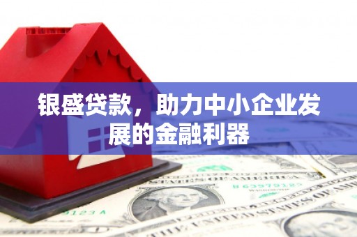阿里银盛贷款，助力中小企业发展的金融利器