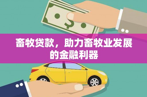 阿里畜牧贷款，助力畜牧业发展的金融利器