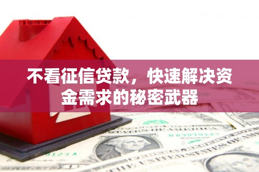 阿里不看征信贷款，快速解决资金需求的秘密武器