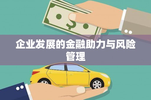 阿里企业发展的金融助力与风险管理