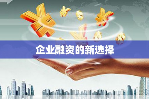 阿里企业融资的新选择