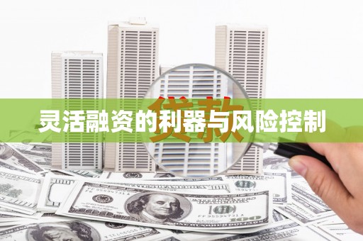 阿里灵活融资的利器与风险控制