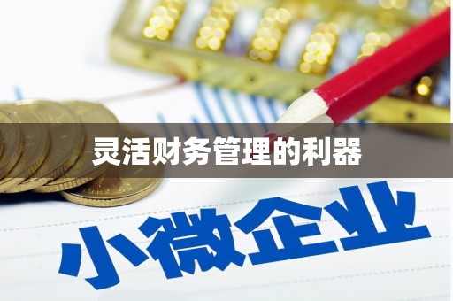 阿里灵活财务管理的利器