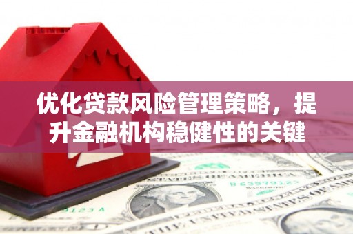 阿里优化贷款风险管理策略，提升金融机构稳健性的关键