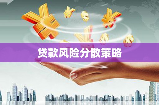 阿里贷款风险分散策略