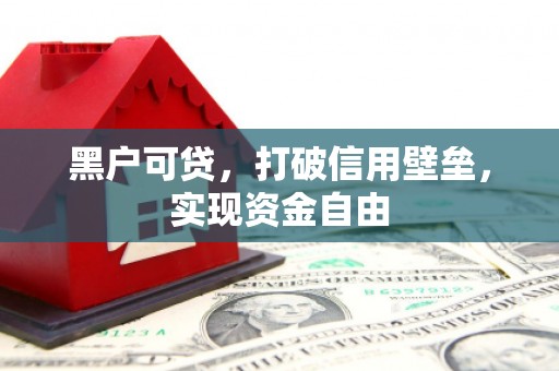 阿里黑户可贷，打破信用壁垒，实现资金自由