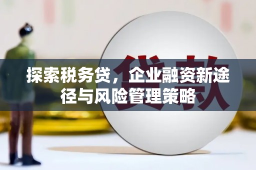 阿里探索税务贷，企业融资新途径与风险管理策略