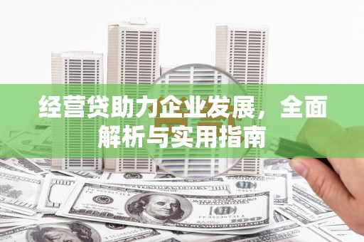 阿里经营贷助力企业发展，全面解析与实用指南