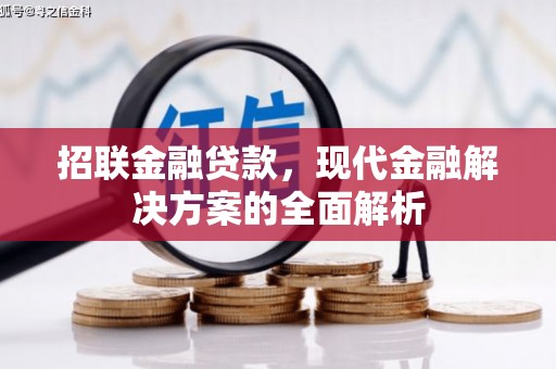阿里招联金融贷款，现代金融解决方案的全面解析