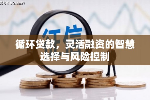 阿里循环贷款，灵活融资的智慧选择与风险控制