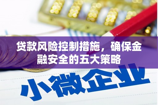 阿里贷款风险控制措施，确保金融安全的五大策略