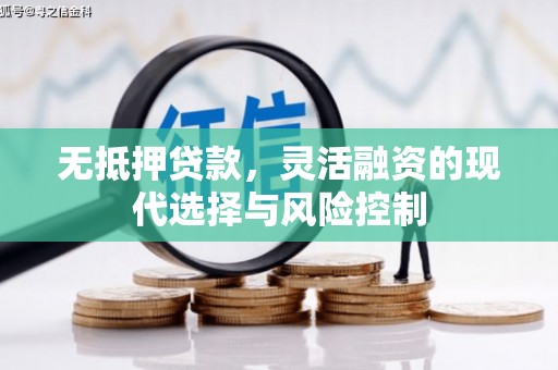 阿里无抵押贷款，灵活融资的现代选择与风险控制